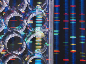 DNA-Forschung, DNA-Proben in einer Multiwell-Platte, bereit für die Analyse, mit DNA-Ergebnissen im Hintergrund - ABRF00477