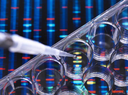 DNA Research, Samples of DNA in a multi well plate ready for analysis with DNA results in the background - ABRF00479