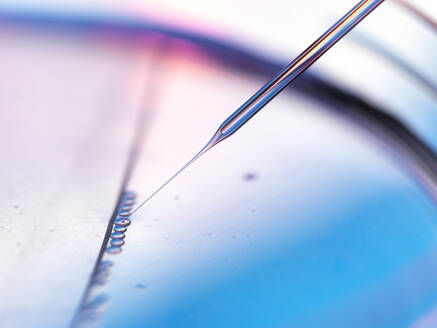 Close-up of samples pipetting in petri dish for stem cell experiment at laboratory - ABRF00500