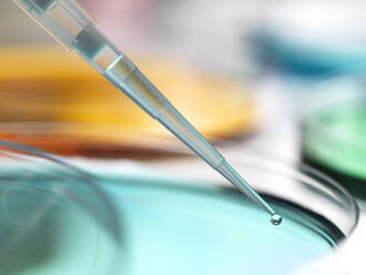 Close-up of samples pipetting in petri dish containing agar jelly at laboratory - ABRF00519