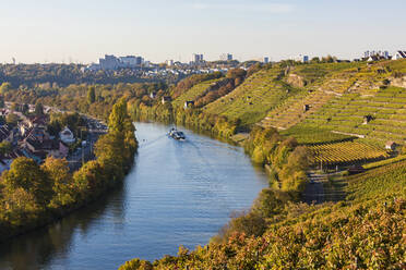 Vineyard by Neckar river in city, Stuttgart, Baden-Württemberg, Germany - WDF05467