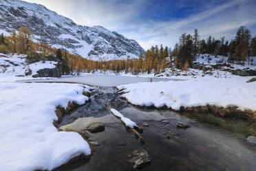 Frozen Lake Mufule framed by larches and snow in autumn, Malenco Valley, Province of Sondrio, Valtellina, Lombardy, Italy, Europe - RHPLF07498