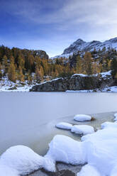 Gefrorener Mufule-See, eingerahmt von Lärchen und Schnee im Herbst, Malenco-Tal, Provinz Sondrio, Valtellina, Lombardei, Italien, Europa - RHPLF07499