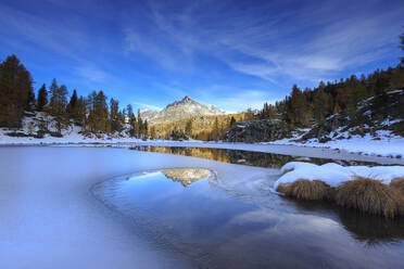 Felsgipfel und Lärchen spiegeln sich im zugefrorenen Mufule-See, Malenco-Tal, Provinz Sondrio, Valtellina, Lombardei, Italien, Europa - RHPLF07500