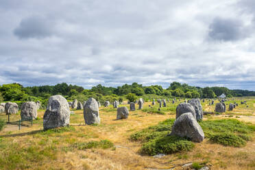 Neolithic standing stones at Alignements de Carnac (Carnac Stones), Alignements de Menec, Carnac, Morbihan, Brittany, France, Europe - RHPLF07540