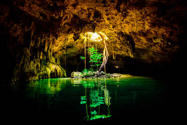 Dos Ojos Cenote in Tulum, Yucatan, Quintana Roo, Mexiko, Nordamerika - RHPLF07548