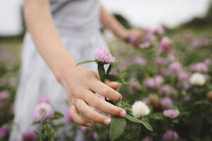 Hände eines Mädchens mit Kleeblumen - EYAF00388