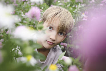 Junge schaut auf einem Blumenfeld in die Kamera - EYAF00404