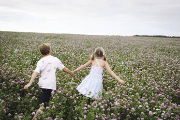 Two smiling children running over clover field - EYAF00405