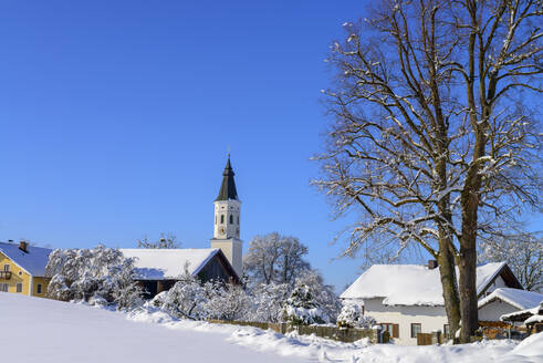 Kirche in schneebedeckter Landschaft und kahler Baum vor blauem Himmel, Bayern, Deutschland - LBF02690