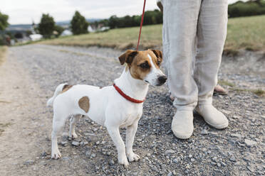 Close-up of boy with dog on dirt track - KMKF01051