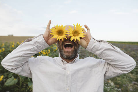 Verspielter Mann, der seine Augen mit Sonnenblumen auf einem Feld bedeckt, lizenzfreies Stockfoto