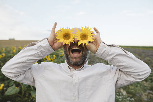 Verspielter Mann, der seine Augen mit Sonnenblumen auf einem Feld bedeckt - KMKF01057