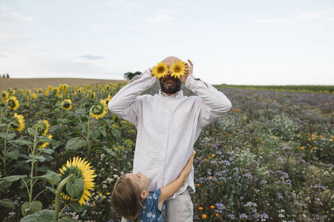 Verspielter Mann, der seine Augen mit Sonnenblumen in einem Feld bedeckt und dessen Tochter ihn umarmt, lizenzfreies Stockfoto