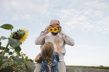 Playful man with daughter in a field covering his eyes with sunflowers - KMKF01061