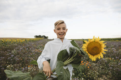 Porträt eines glücklichen Jungen, der eine Sonnenblume in einem Feld hält - KMKF01067