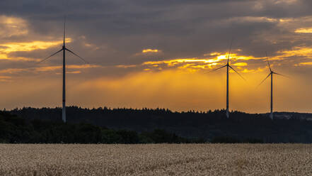 Windkraftanlagen bei Sonnenuntergang - STSF02210