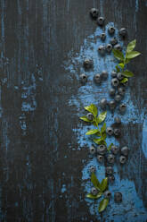 Directly above shot of blueberries with herbs on table - ASF06498