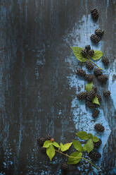 Directly above shot of herbs with blackberries on table - ASF06501