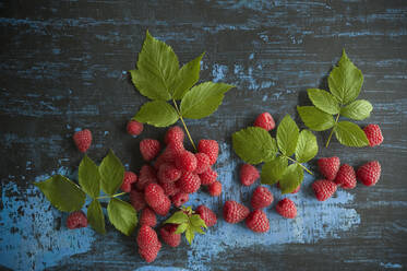 Directly above shot of raspberries with herbs on table - ASF06502