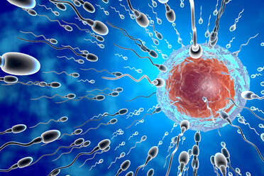 Visualization of sperm cells racing towards egg to fertilize - SPCF00449