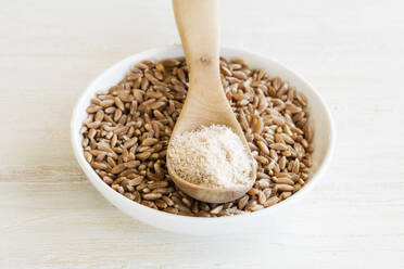 Ancient grains, Emmer in bowl as grain and flour - EVGF03451