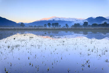 Rosa Himmel in der Morgendämmerung auf den schneebedeckten Gipfeln der Monti Lariani, die sich in überschwemmtem Land spiegeln, Pian di Spagna, Valtellina, Lombardei, Italien, Europa - RHPLF07674