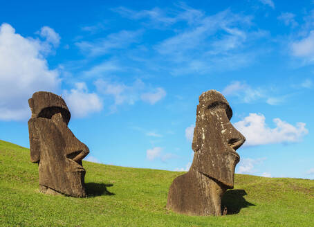 Moais im Steinbruch am Hang des Vulkans Rano Raraku, Nationalpark Rapa Nui, UNESCO-Welterbe, Osterinsel, Chile, Südamerika - RHPLF07694