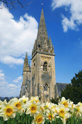 Kathedrale von Llandaff, Cardiff, Wales, Vereinigtes Königreich, Europa - RHPLF07728