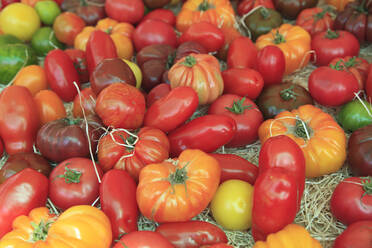 Tomaten auf dem Markt, Cours Saleya, Altstadt, Nizza, Alpes Maritimes, Provence, Côte d'Azur, Französische Riviera, Frankreich, Europa - RHPLF07747