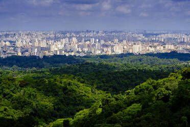 Zentral Sao Paulo vom Regenwald des Serra da Cantareira State Park aus, Brasilien, Südamerika - RHPLF07760