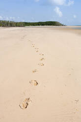 Strand auf der Insel Marano im brasilianischen Amazonasgebiet, Brasilien, Südamerika - RHPLF07761