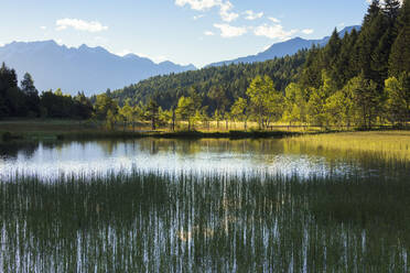 Die Morgendämmerung beleuchtet den Sumpf des Naturschutzgebiets Pian di Gembro, Aprica, Provinz Sondrio, Valtellina, Lombardei, Italien, Europa - RHPLF07782