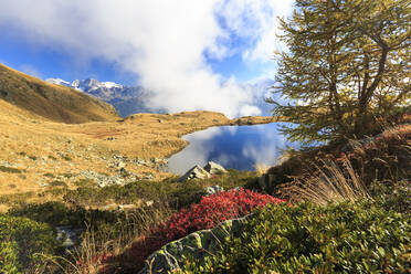Wolken auf den Gipfeln der Bernina-Gruppe spiegeln sich im Arcoglio-See, Val Torreggio, Malenco-Tal, Valtellina, Lombardei, Italien, Europa - RHPLF07810