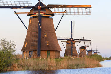 Traditionelle holländische Windmühlen, Kinderdijk, UNESCO-Weltkulturerbe, Molenwaard, Südholland, Niederlande, Europa - RHPLF07813