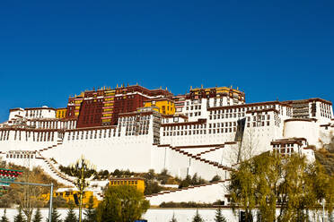 Der Potala-Palast unter blauem Himmel, UNESCO-Weltkulturerbe, Lhasa, Tibet, China, Asien - RHPLF07874