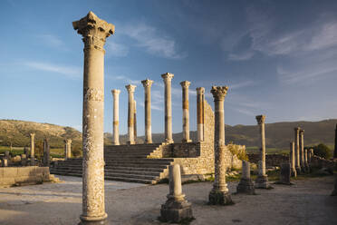 Römische Ruinen von Volubilis, UNESCO-Weltkulturerbe, Marokko, Nordafrika, Afrika - RHPLF07905