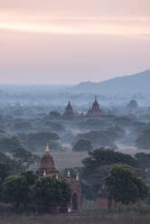 Blick auf die Tempel in der Morgendämmerung, Bagan (Pagan), Region Mandalay, Myanmar (Burma), Asien - RHPLF07924