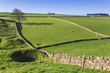 Weitläufige Landschaft mit Trockensteinmauern im Frühling, Peak District National Park, in der Nähe von Litton, Derbyshire, England, Vereinigtes Königreich, Europa - RHPLF07940