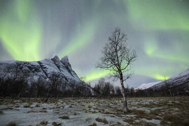 The snowy peak of Otertinden below the Northern Lights (aurora borealis) in the polar night, Oteren, Lyngen Alps, Troms, Norway, Scandinavia, Europe - RHPLF07944