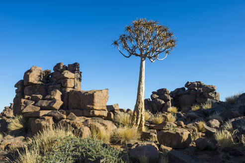 Ungewöhnliche Felsformationen, Giants Playground, Keetmanshoop, Namibia, Afrika - RHPLF07995