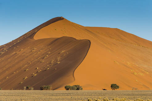 Riesensanddüne 45, Sossusvlei, Namib-Naukluft-Nationalpark, Namibia, Afrika - RHPLF08003
