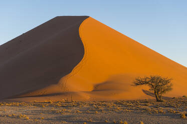 Riesensanddüne 45, Sossusvlei, Namib-Naukluft-Nationalpark, Namibia, Afrika - RHPLF08005