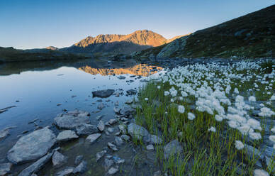 Baumwollgras umrahmt die felsigen Gipfel, die sich im Umbrail-See bei Sonnenuntergang spiegeln, Stilfserjoch, Valtellina, Lombardei, Italien, Europa - RHPLF08056