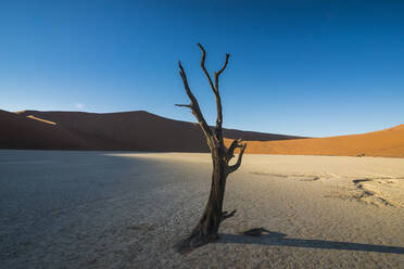 Deadvlei, ein alter Trockensee in der Namib-Wüste, Namibia, Afrika - RHPLF08098