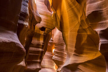 Lights and shadows in Upper Antelope Canyon, Navajo Tribal Park, Arizona, United States of America, North America - RHPLF08175