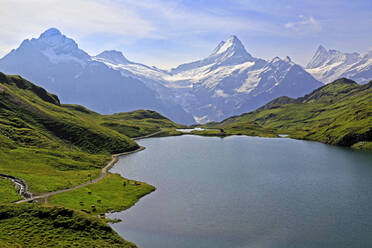 Bachalpsee bei First und Berner Alpen, Grindelwald, Berner Oberland, Schweiz, Europa - RHPLF08234