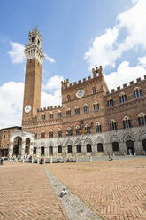 Blick auf die Piazza del Campo mit dem historischen Palazzo Pubblico und dem Torre del Mangia, Siena, UNESCO-Weltkulturerbe, Toskana, Italien, Europa - RHPLF08245