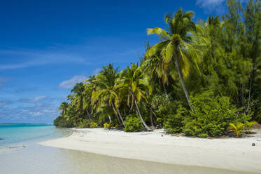 White sand bank in the turquoise waters of the Aitutaki lagoon, Rarotonga and the Cook Islands, South Pacific, Pacific - RHPLF08248