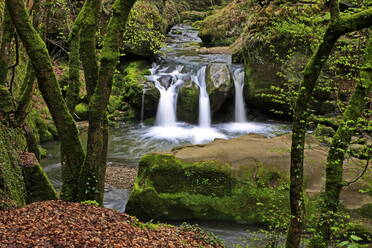 Waldbach, Schiessendumpel, Mullerthal, Luxemburg, Europa - RHPLF08259